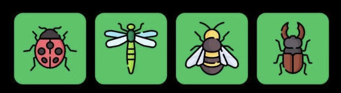 FLIES Daily Combo 6 June 2025